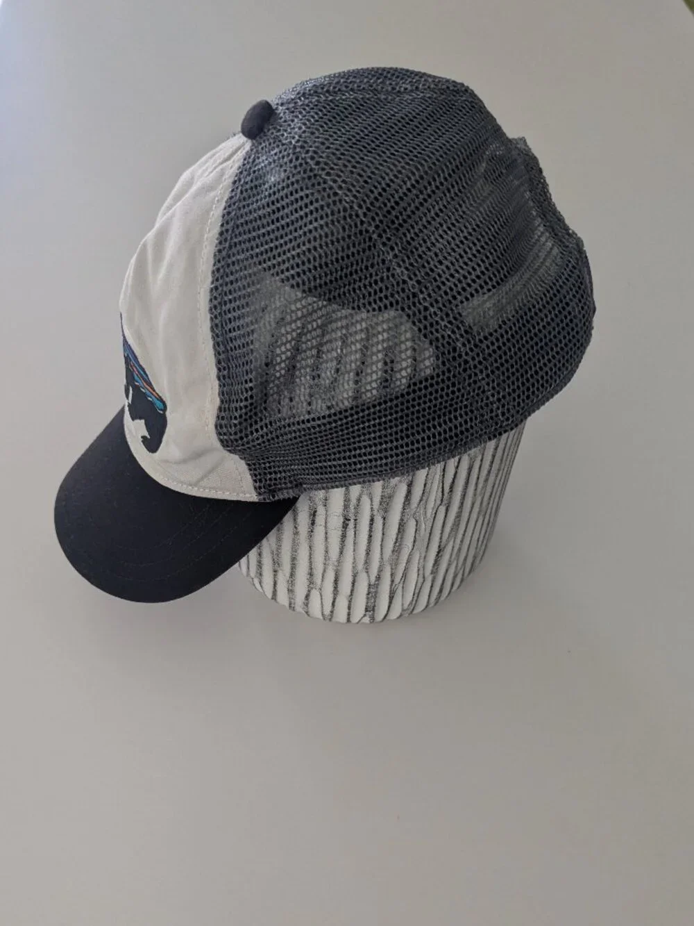 Patagonia - women's ball cap